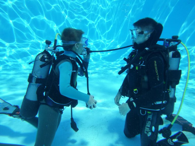 P1090754 Gross 768x576