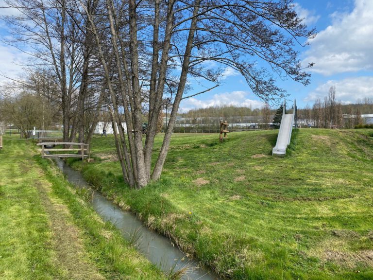 Moschheim Halle 2 768x576