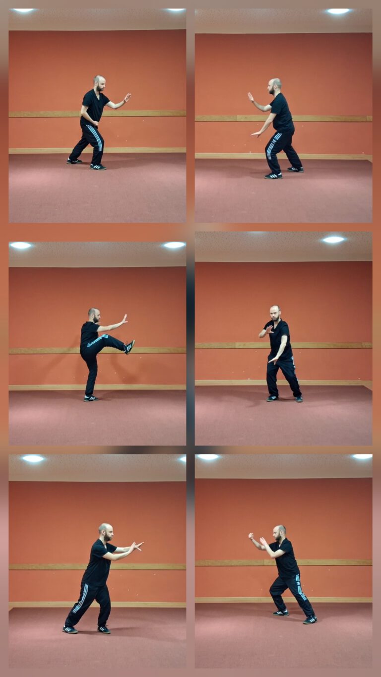 20260228 172512 768x1365